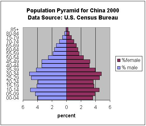 Demographic Chart Excel