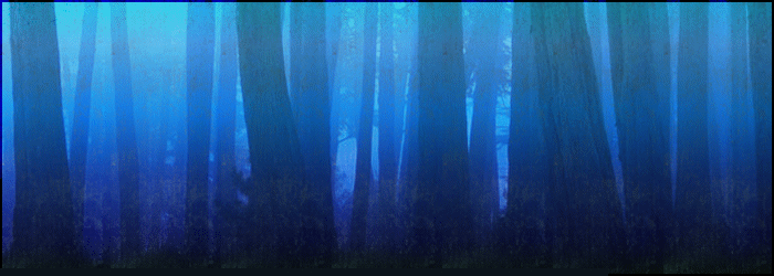IMMANENCE BLOG