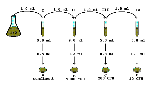 16+ Cell Dilution Calculator