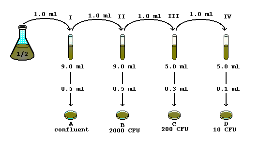 Serial Dilution Problem 1