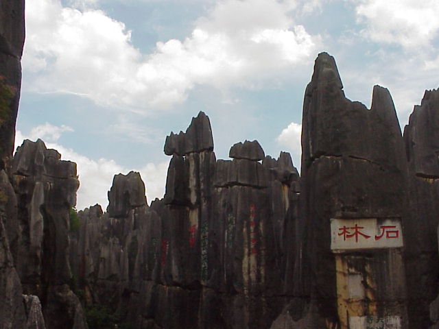 Stone Forest