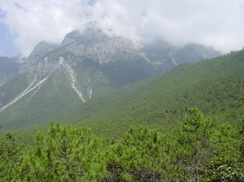 Jade Dragon Snow Mountain002