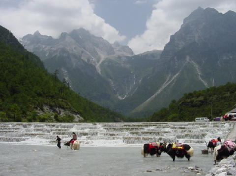 Jade Dragon Snow Mountain006