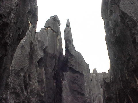 Stone Forest 1