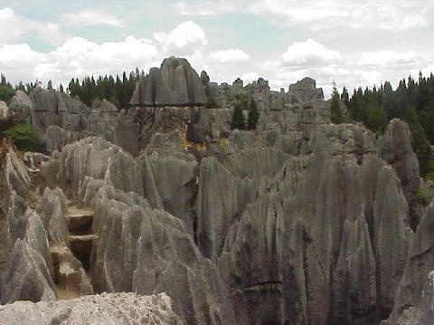 Stone Forest 2