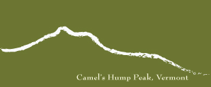 camelshump