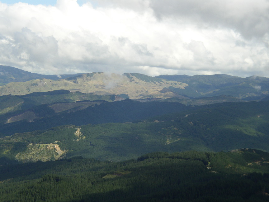 P1010110_1