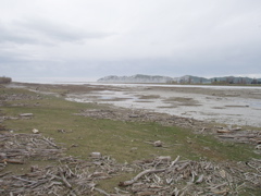 P8160002