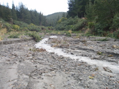 P8180026