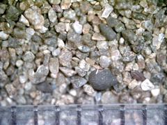 wa40_20x