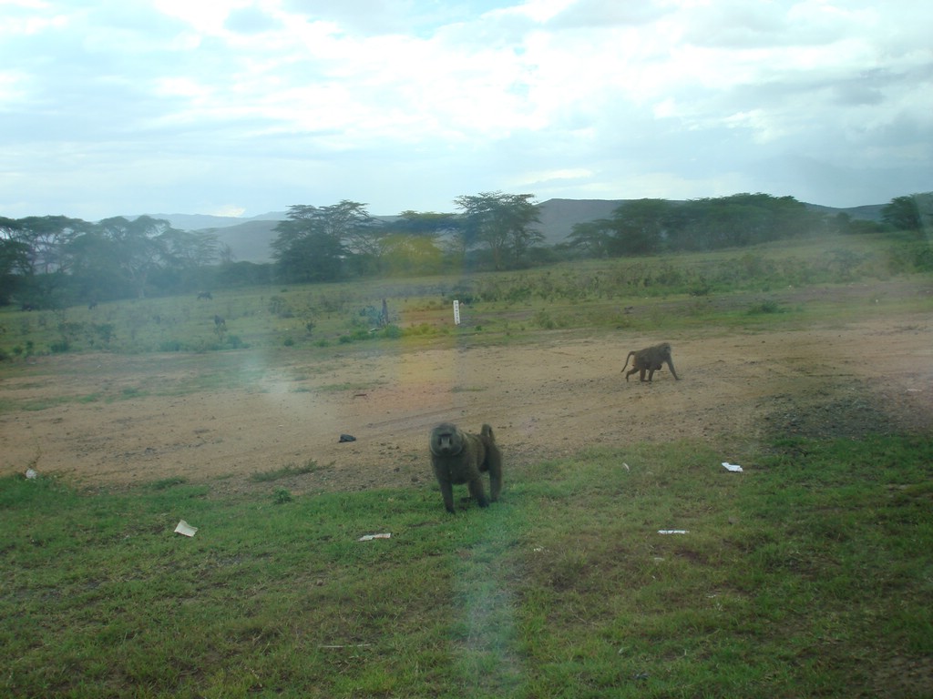 Africa 12-4 to 12-13-2009 001.JPG