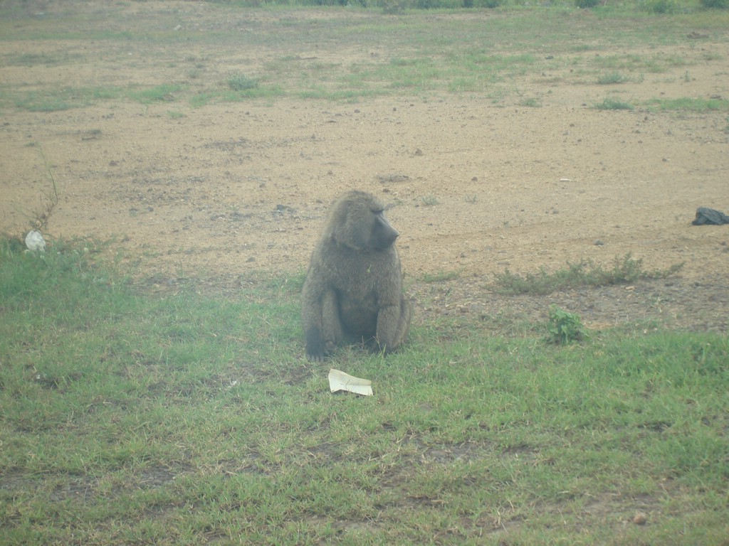 Africa 12-4 to 12-13-2009 002.JPG