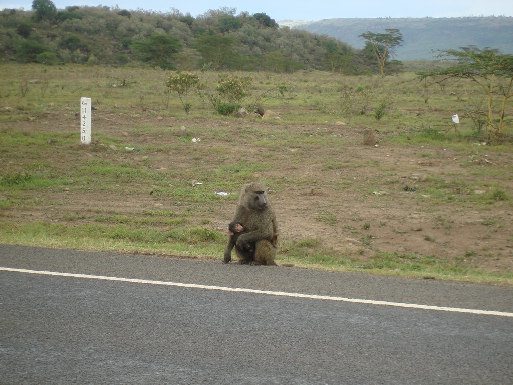 Africa 12-4 to 12-13-2009 004.JPG