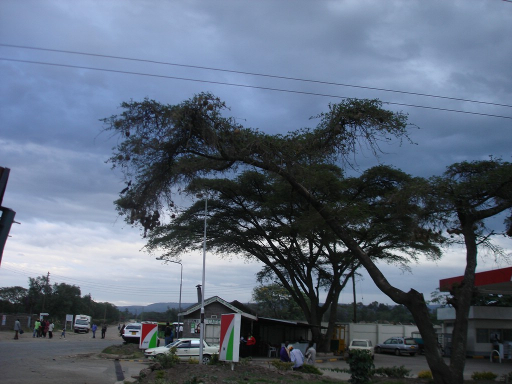 Africa 12-4 to 12-13-2009 049.JPG