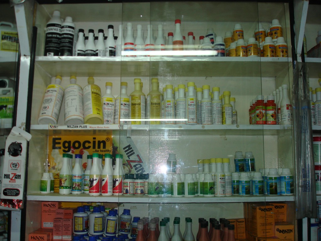 Africa 12-4 to 12-13-2009 055.JPG