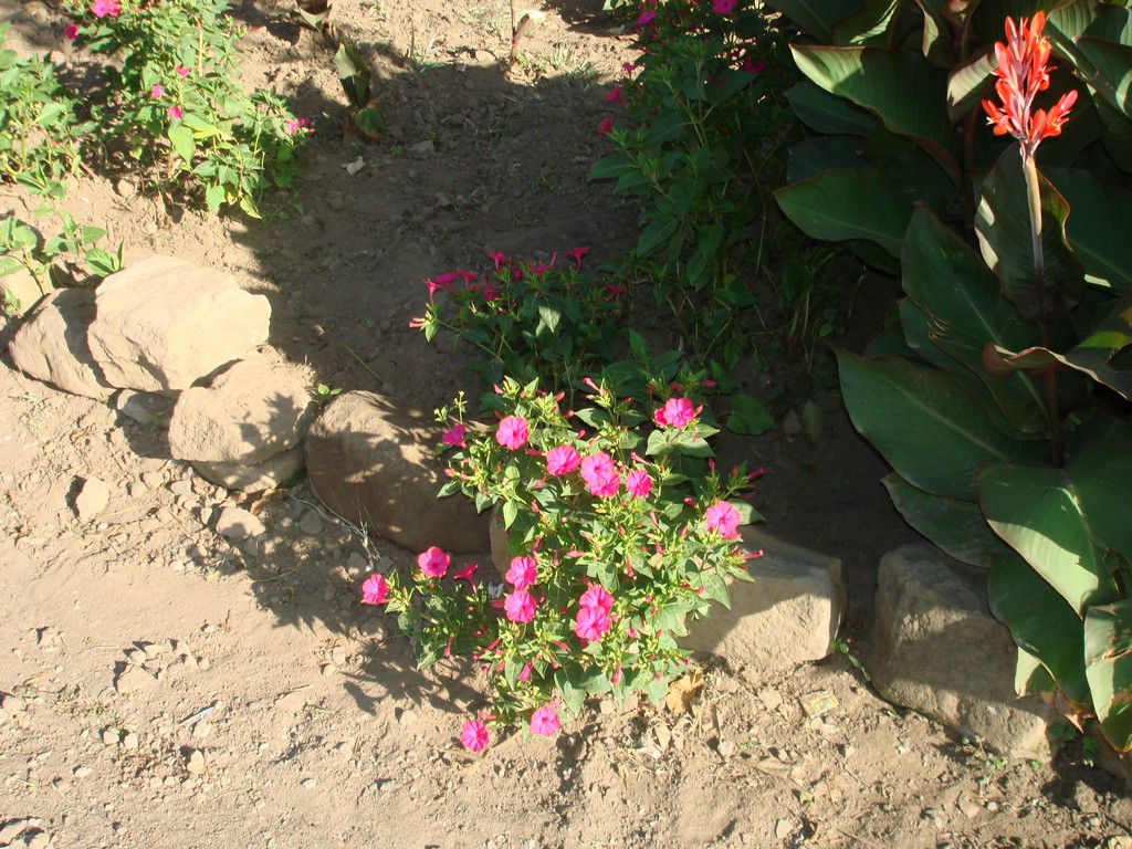 Africa 12-4 to 12-13-2009 065.JPG