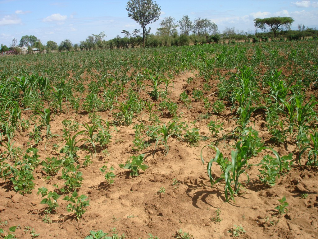 Africa 12-4 to 12-13-2009 087.JPG