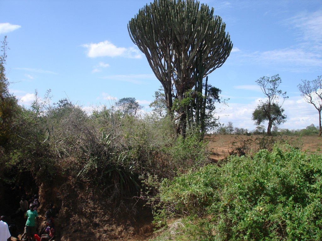 Africa 12-4 to 12-13-2009 103.JPG