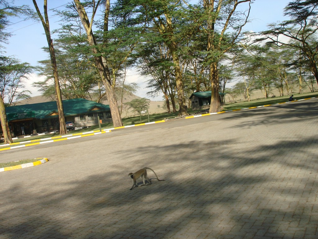 Africa 12-4 to 12-13-2009 158.JPG