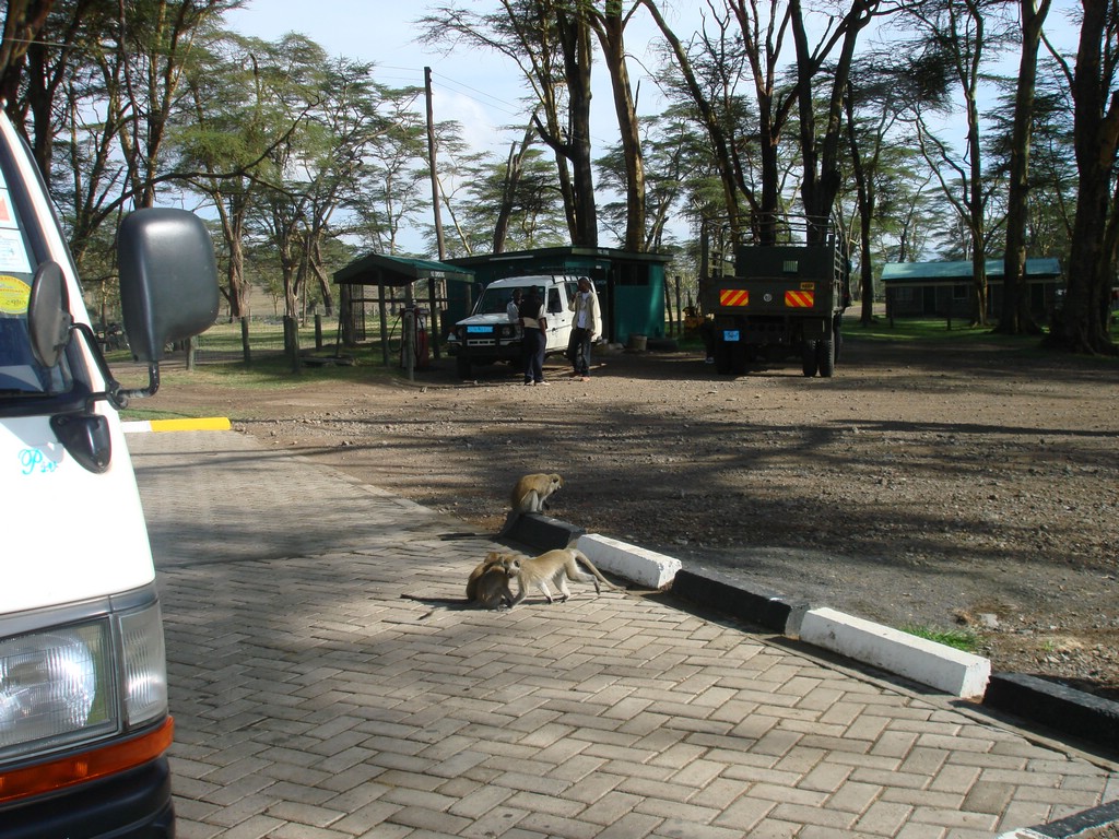 Africa 12-4 to 12-13-2009 160.JPG