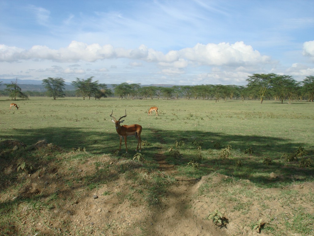 Africa 12-4 to 12-13-2009 161.JPG