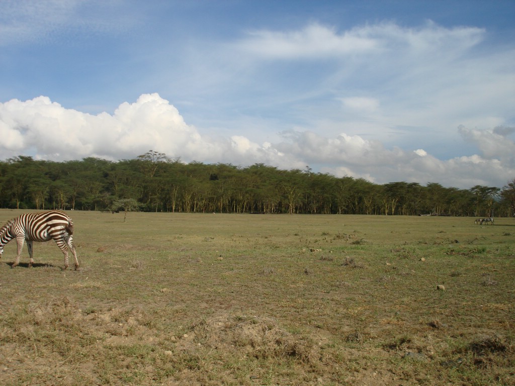 Africa 12-4 to 12-13-2009 166.JPG