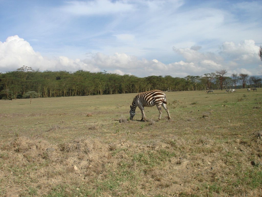 Africa 12-4 to 12-13-2009 167.JPG