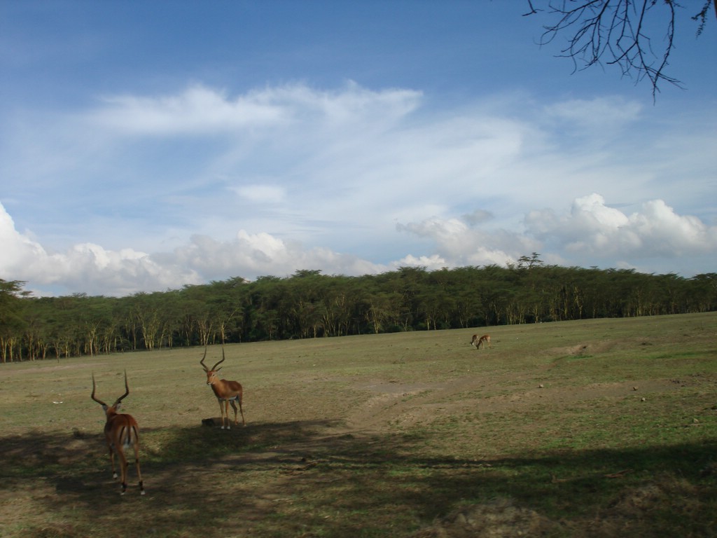 Africa 12-4 to 12-13-2009 168.JPG