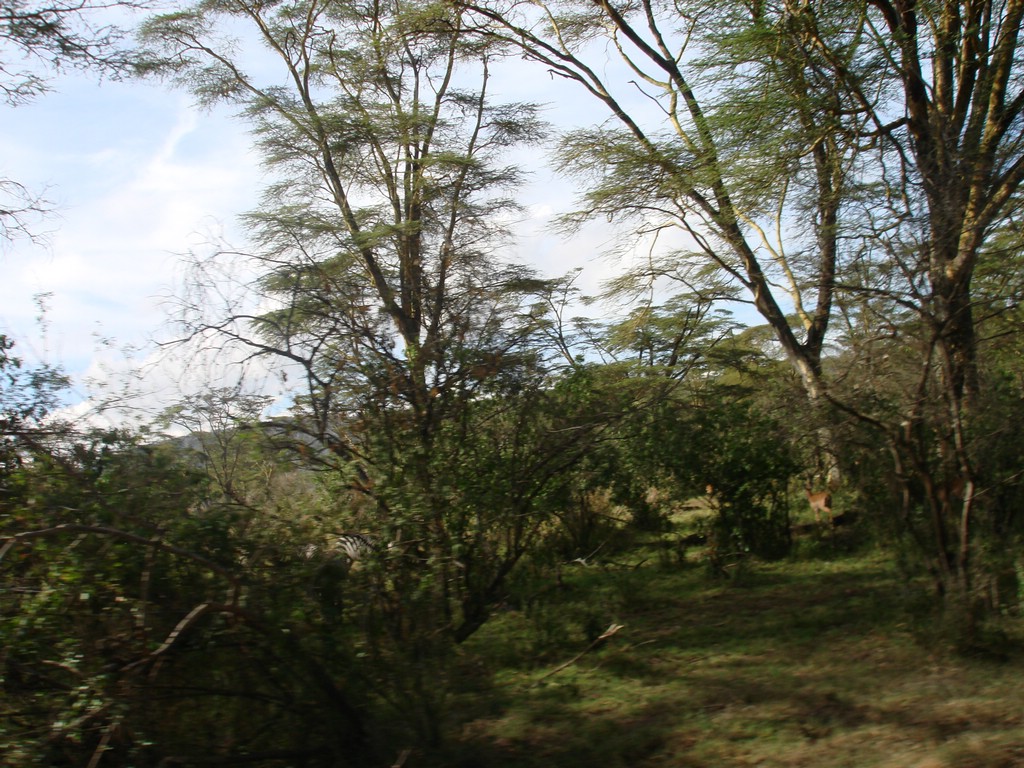 Africa 12-4 to 12-13-2009 170.JPG