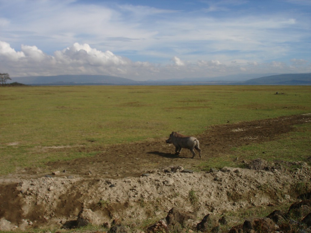 Africa 12-4 to 12-13-2009 171.JPG