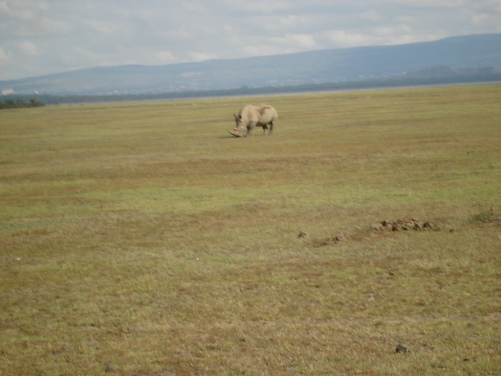 Africa 12-4 to 12-13-2009 172.JPG