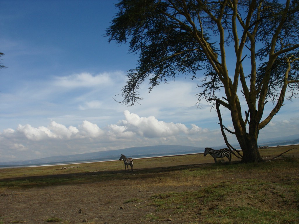 Africa 12-4 to 12-13-2009 173.JPG