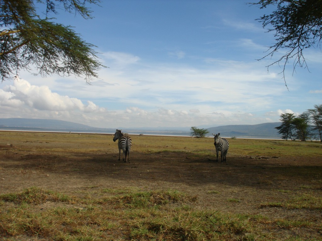 Africa 12-4 to 12-13-2009 174.JPG