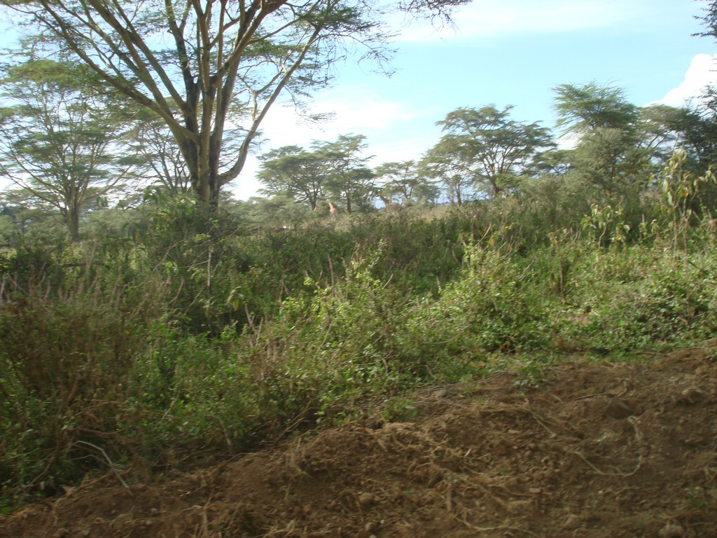 Africa 12-4 to 12-13-2009 175.JPG