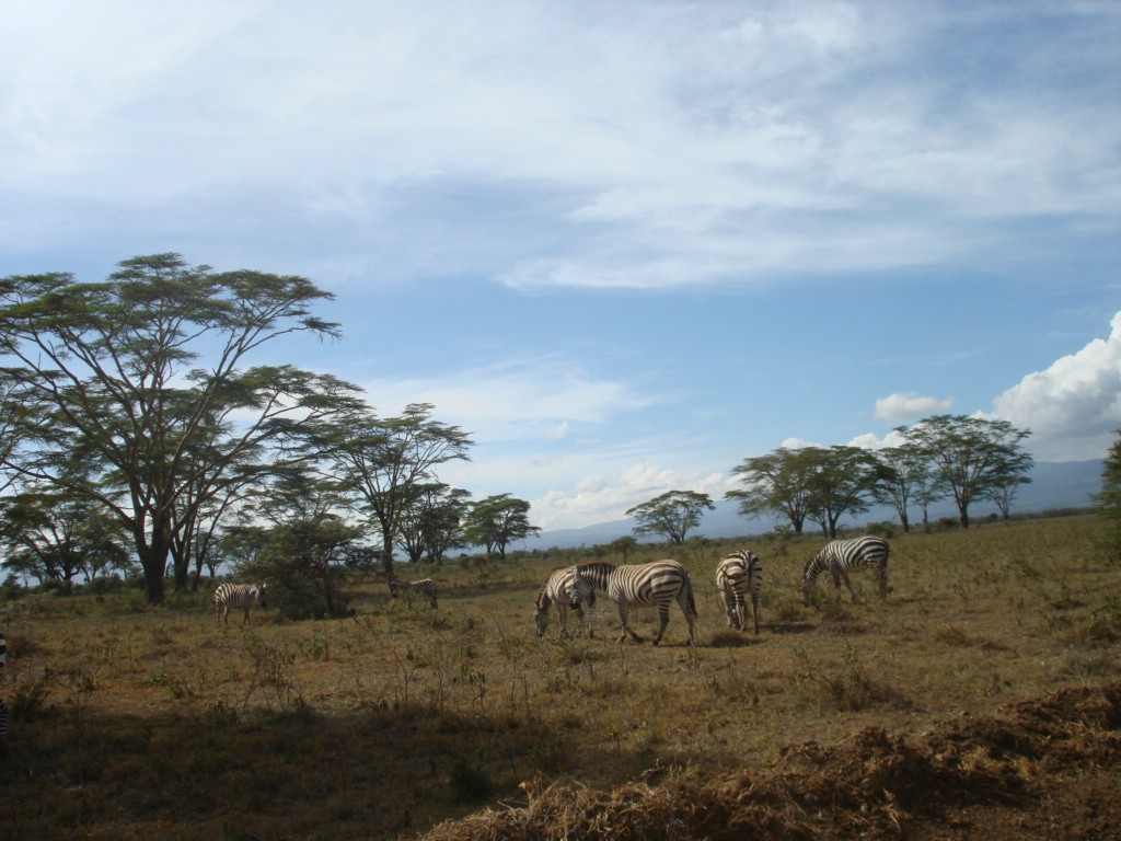 Africa 12-4 to 12-13-2009 181.JPG