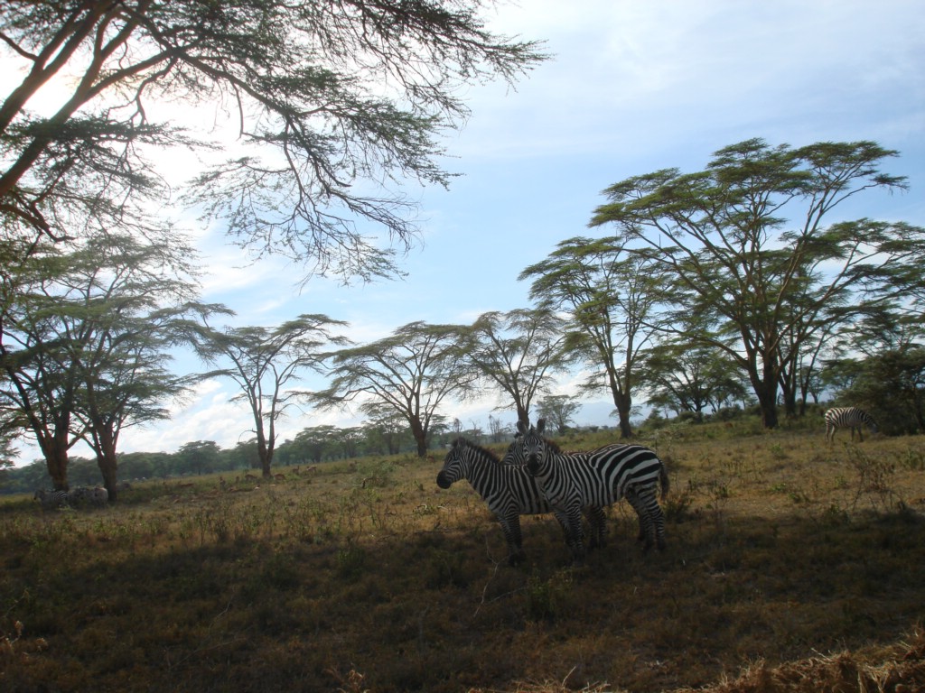 Africa 12-4 to 12-13-2009 182.JPG