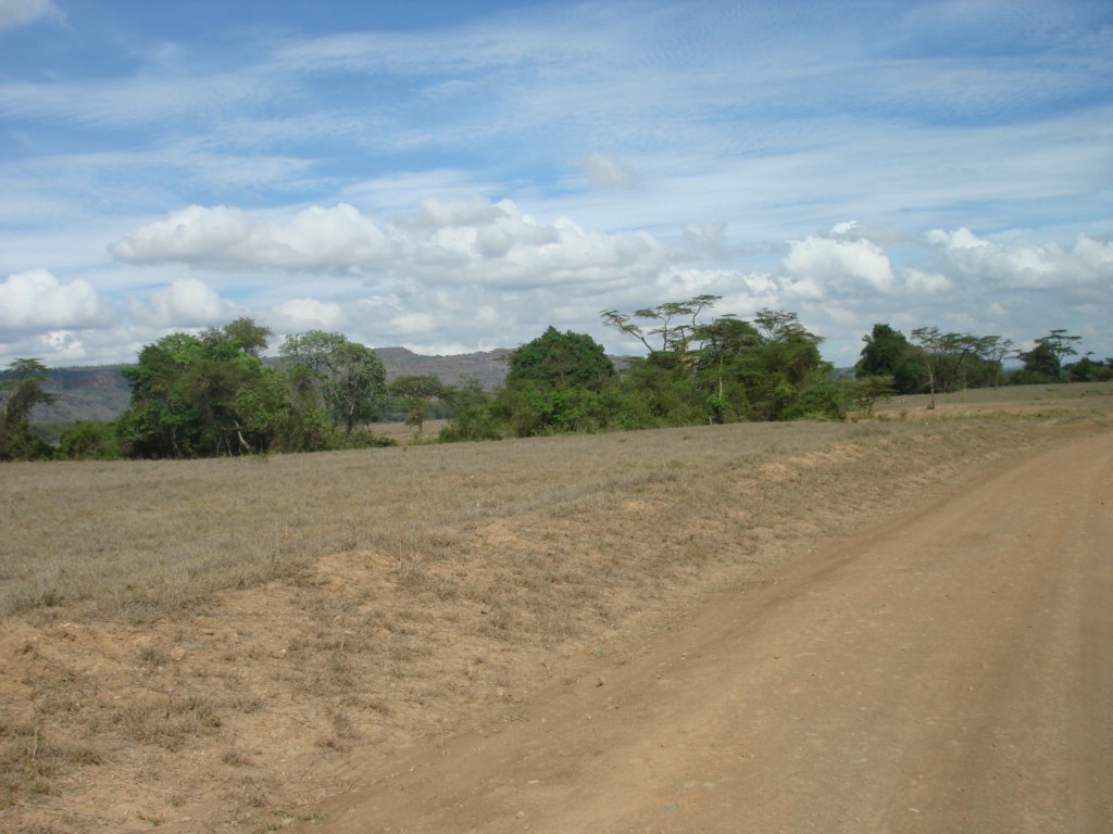 Africa 12-4 to 12-13-2009 185.JPG