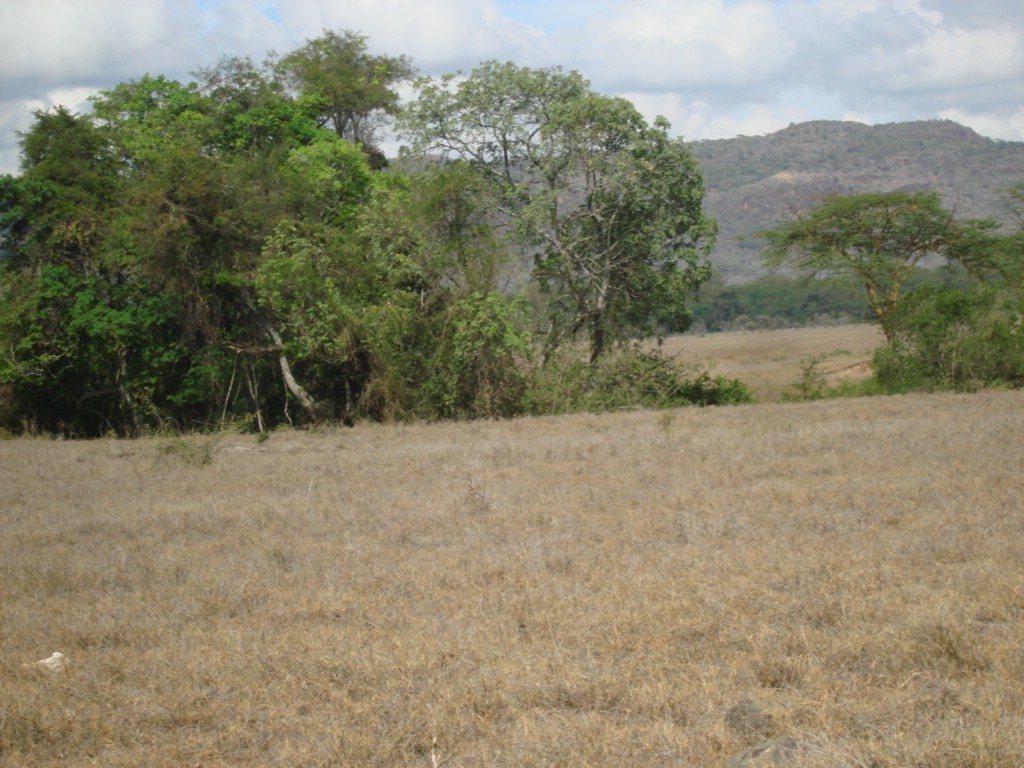 Africa 12-4 to 12-13-2009 186.JPG