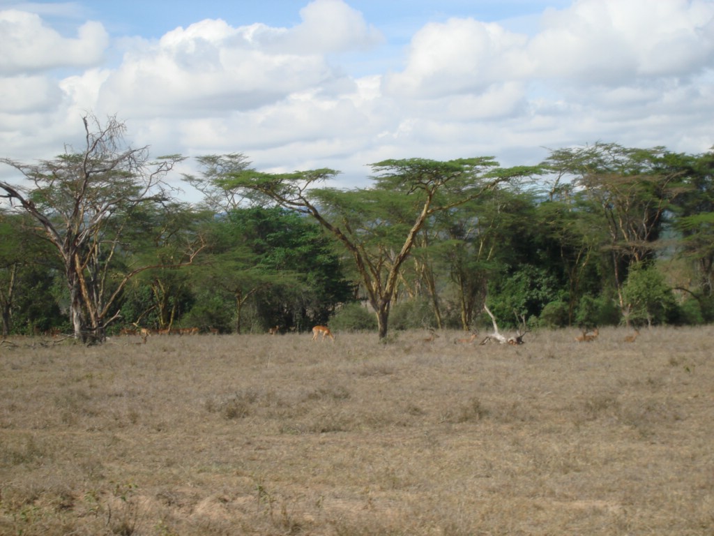 Africa 12-4 to 12-13-2009 190.JPG