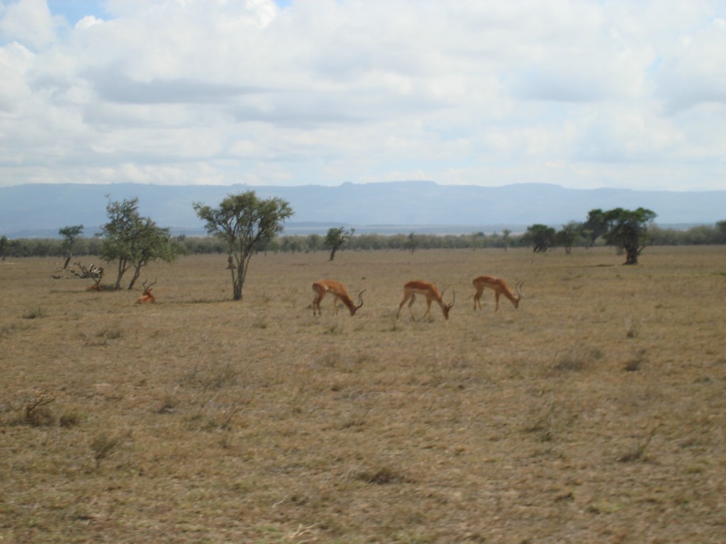 Africa 12-4 to 12-13-2009 191.JPG