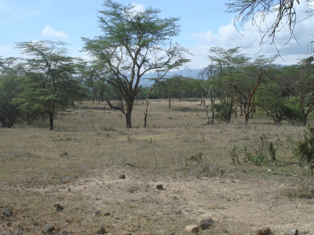 Africa 12-4 to 12-13-2009 193.JPG