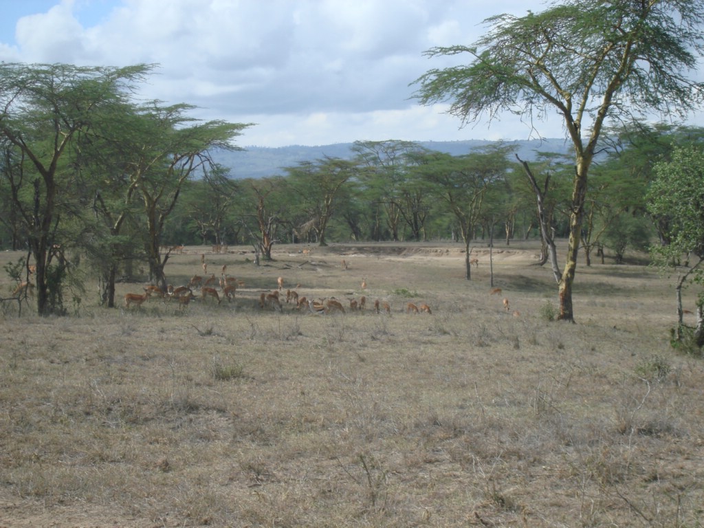 Africa 12-4 to 12-13-2009 194.JPG