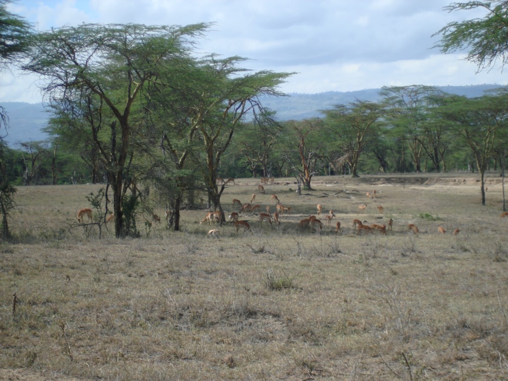 Africa 12-4 to 12-13-2009 195.JPG