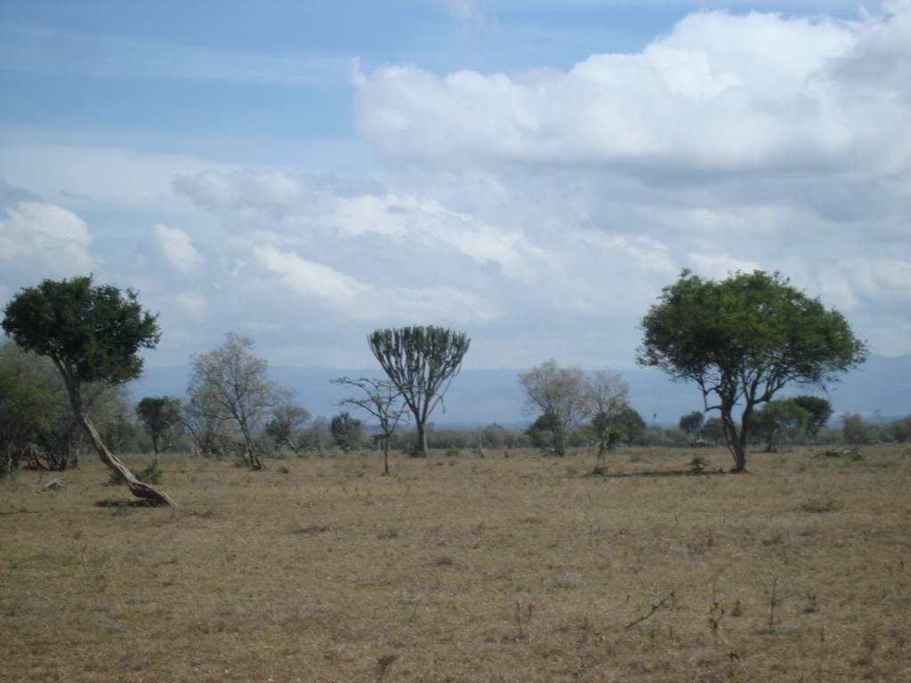 Africa 12-4 to 12-13-2009 205.JPG