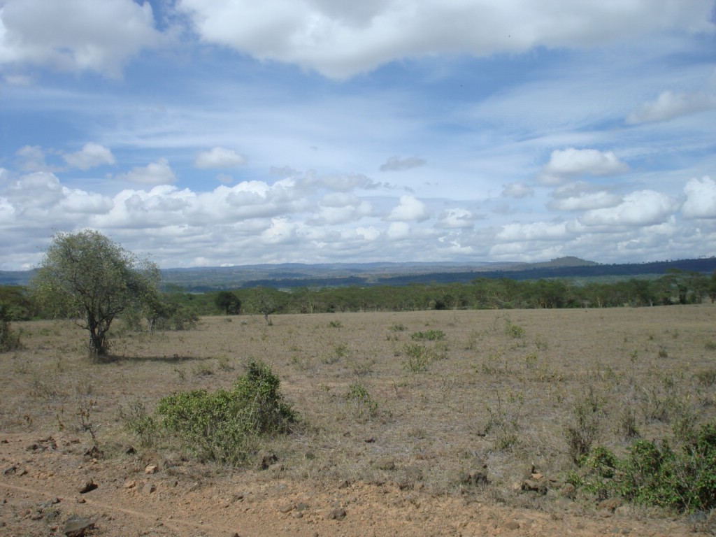 Africa 12-4 to 12-13-2009 207.JPG