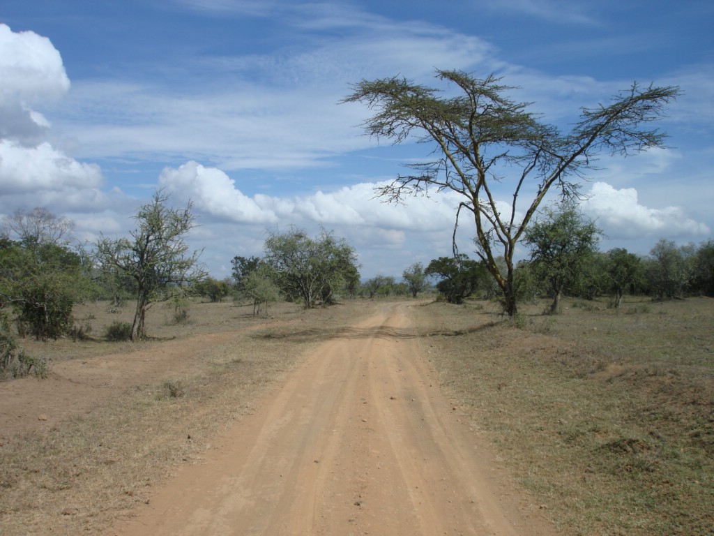 Africa 12-4 to 12-13-2009 208.JPG