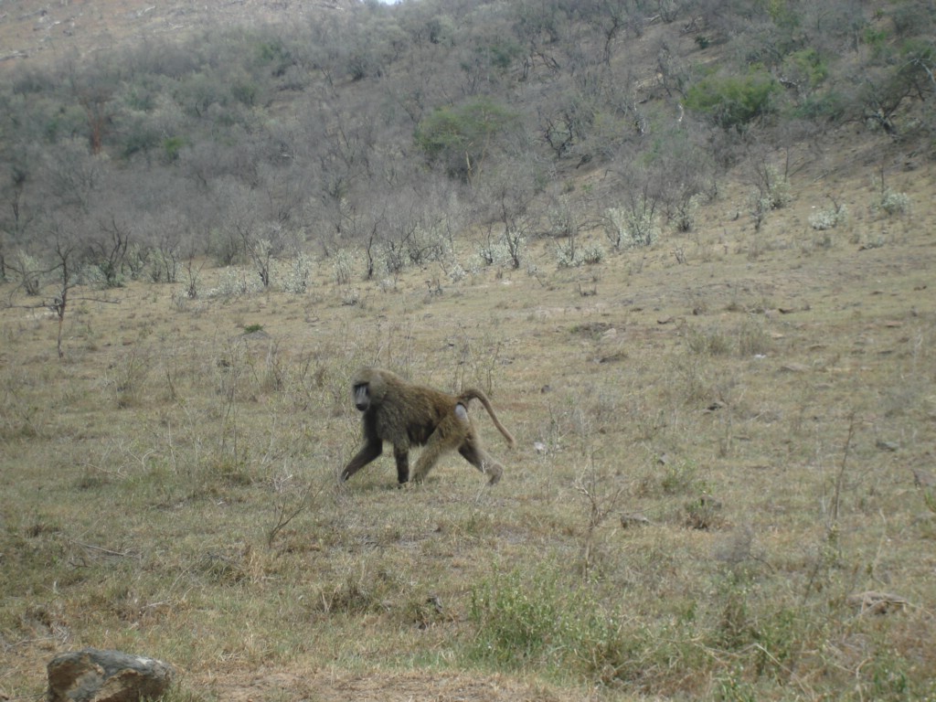 Africa 12-4 to 12-13-2009 221.JPG