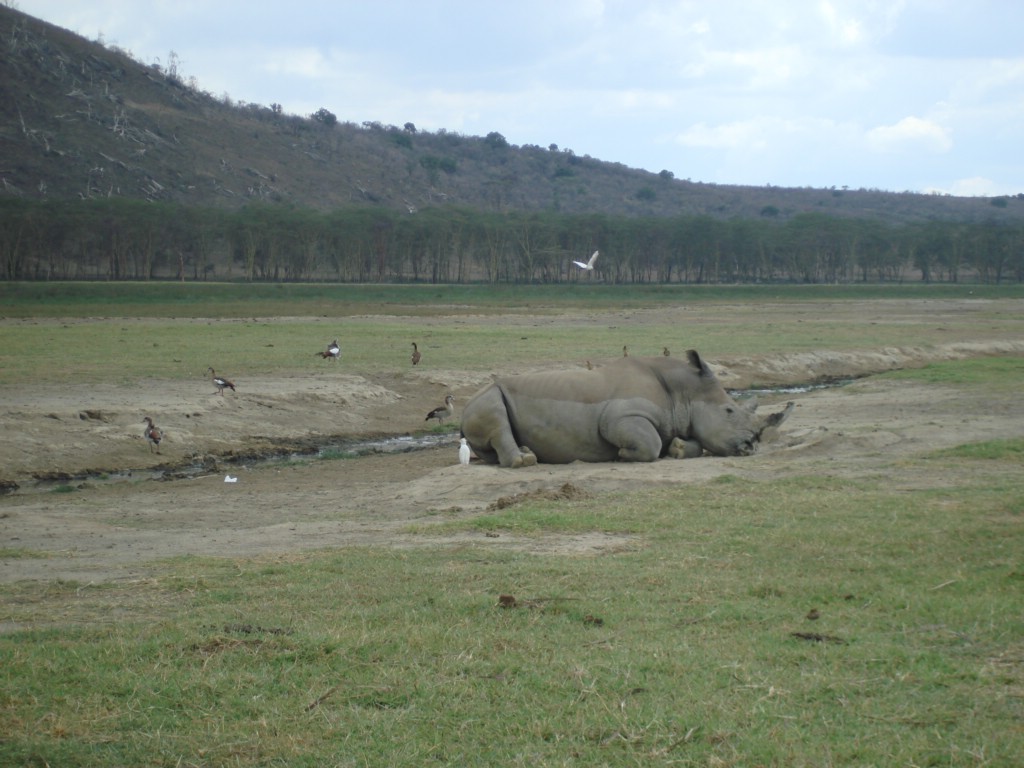 Africa 12-4 to 12-13-2009 222.JPG