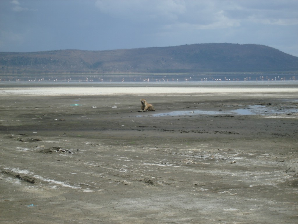 Africa 12-4 to 12-13-2009 228.JPG