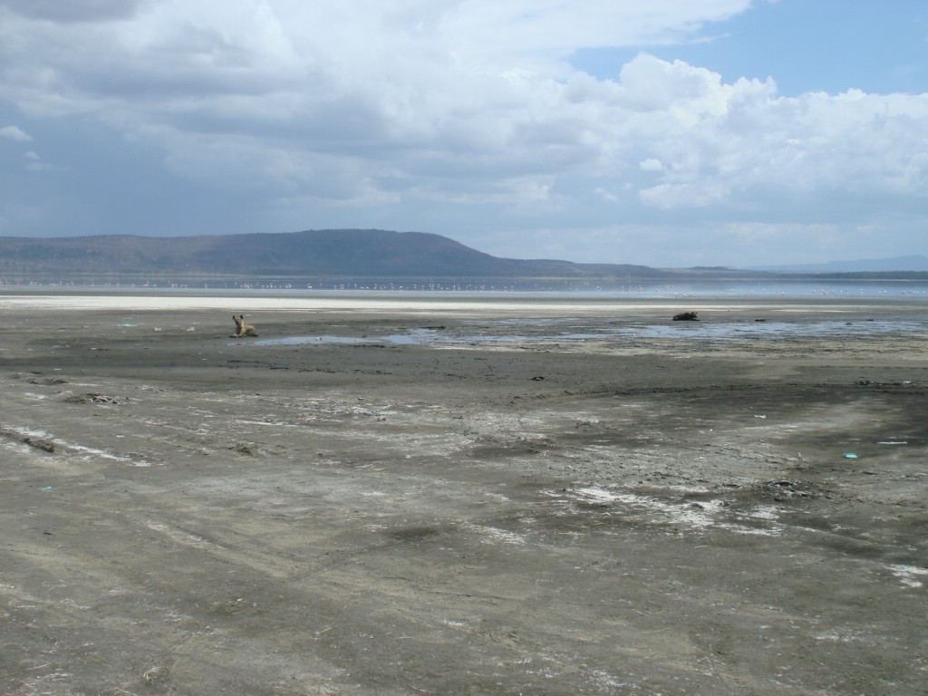 Africa 12-4 to 12-13-2009 229.JPG